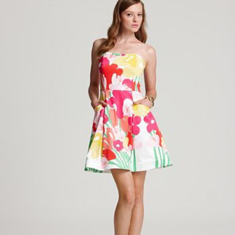 Lilly Pulitzer May Flowers Dress
